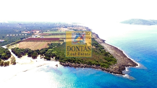 (For Sale) Land Plot || Messinia/Gargalianoi - 21.000 Sq.m, 3.000.000€