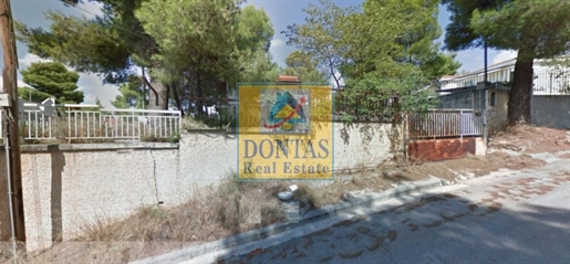 (Te koop) Residentieel Vrijstaande woning || Oost Attica/Dionysos - 120 m², 3 slaapkamers, 300.000€