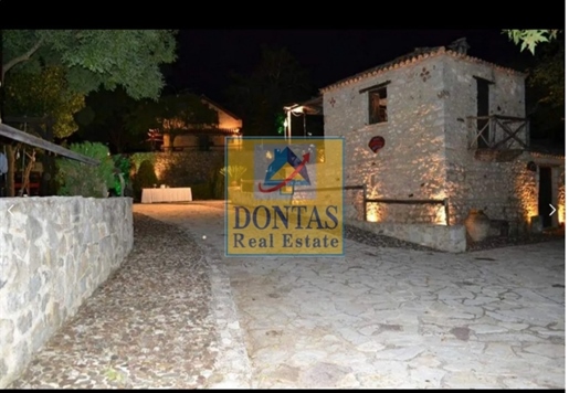 (For Sale) Residential Detached house || Argolida/Epidavros - 200 Sq.m, 2 Bedrooms, 1.500.000€