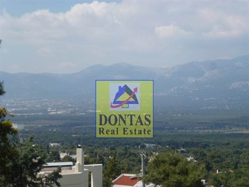 (Zu verkaufen) Nutzbares Grundstück || Athen Nord/Ekali - 860 m², 510.000€