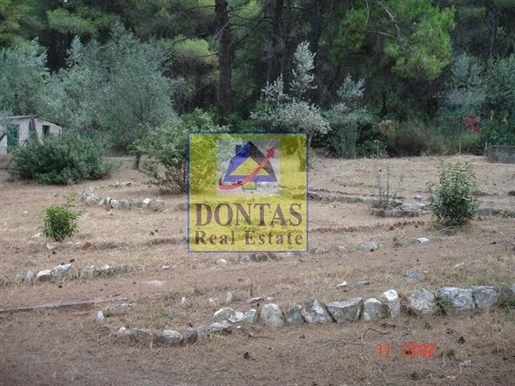 (For Sale) Land Plot || Athens North/Ekali - 3.000 Sq.m, 2.500.000€