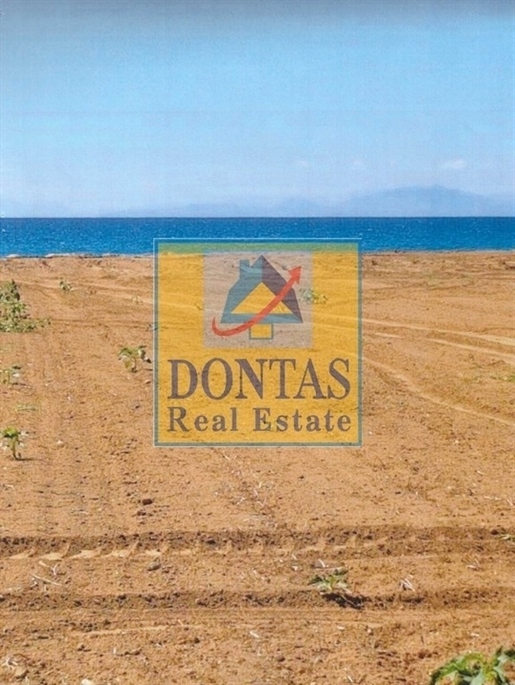 (For Sale) Land Plot || Ileias/Amaliada - 57.500 Sq.m, 5.900.000€