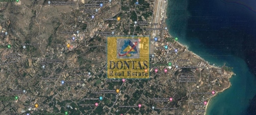 (Te koop) Bruikbare grond perceel || Chios/Prefectuur Chios - 25.000 m², 1.000.000€