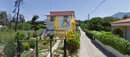 (For Sale) Residential Detached house || East Attica/Drosia - 280 Sq.m, 700.000€