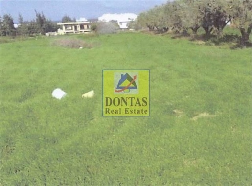 (For Sale) Land Plot || Korinthia/Loutraki-Perachora - 4.065 Sq.m, 580.000€