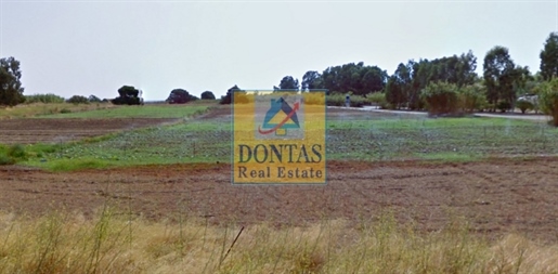 (For Sale) Land Agricultural Land || East Attica/Marathonas - 40.000 Sq.m, 5.200.000€