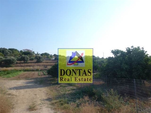 (Te koop) Bruikbare grond perceel || Chios/Prefectuur Chios - 6.000 m², 350.000€