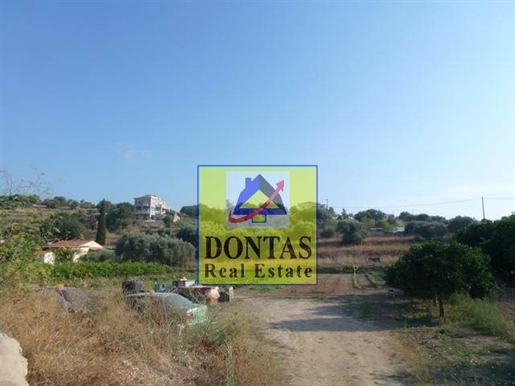 (Te koop) Bruikbare grond perceel || Chios/Prefectuur Chios - 6.000 m², 350.000€