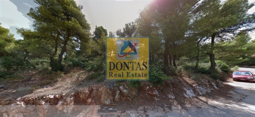 (À vendre) Terrain utilisable || Est Attique/Dionysos - 900 m², 320.000€