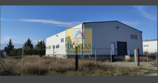 (Προς Πώληση) Επαγγελματικός Χώρος Βιομηχανικός Χώρος || Ν. Αρκαδίας/Τρίπολη - 1.150 τ.μ, 700.000€