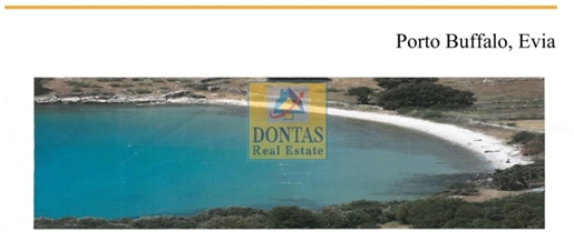 (Zu verkaufen) Nutzbares Grundstück || Präfektur Euböa/Dystos - 9.100 m², 300.000€