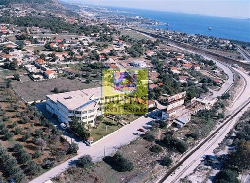 (À vendre) Magasin de propriété commerciale || Préfecture de Corinthe - 4.000 m², 3.200.000€