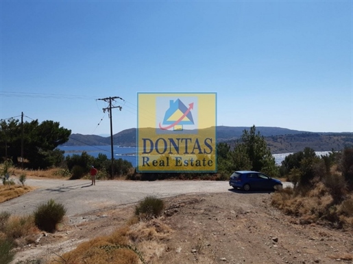 (For Sale) Land Plot || Chios/Kardamyla - 4.405 Sq.m, 235.000€