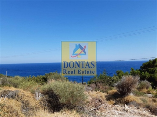 (For Sale) Land Plot || Chios/Kardamyla - 4.405 Sq.m, 235.000€