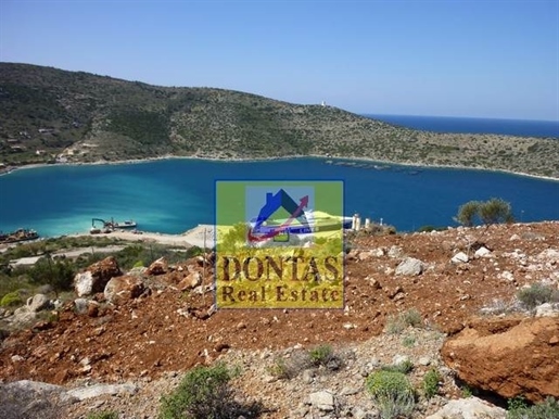 (Te koop) Bruikbare grond perceel || Prefectuur Chios/Mastichochoria - 15.000 m², 300.000€