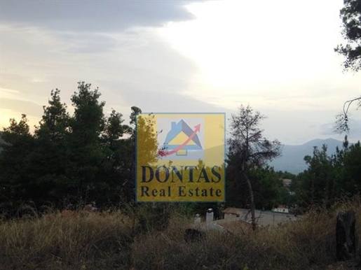 (Te koop) Bruikbare grond perceel || Oost-Attica/Dionysos - 800 m², 350.000€