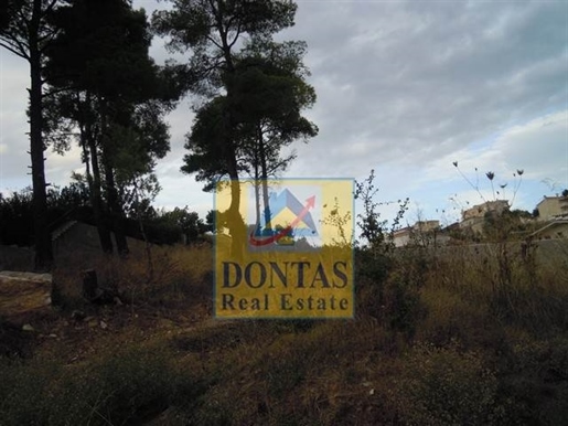 (À vendre) Terrain utilisable || Est Attique/Dionysos - 800 m², 350.000€
