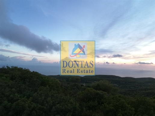 (For Sale) Land Agricultural Land || Zakynthos (Zante)/Laganas - 45.804 Sq.m, 850.000€