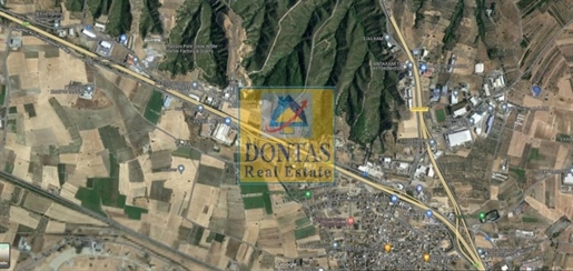 (Zu verkaufen) Nutzbares Grundstück || Präfektur Viotia/Schimatari - 40.000 qm, 1.800.000€