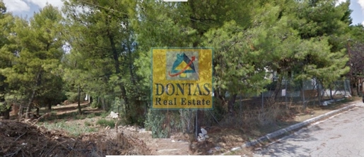 (Zu verkaufen) Nutzbares Grundstück || Ost-Attika/Dionysos - 775 m², 280.000€