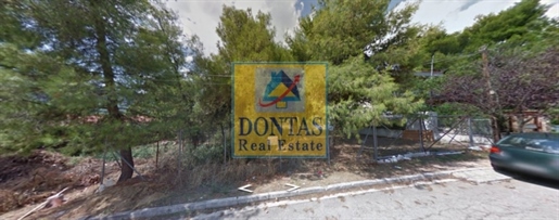 (Te koop) Bruikbare grond perceel || Oost-Attica/Dionysos - 775 m², 280.000€