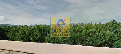 (For Sale) Land Plot || Chios/Chios - 5.600 Sq.m, 400.000€