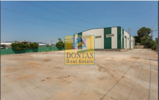 (For Sale) Commercial Commercial Property || East Attica/Krioneri - 5.900 Sq.m, 4.850.000€