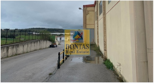 (For Sale) Commercial Industrial Area || Voiotia/Oinofyta - 4.800 Sq.m, 2.750.000€