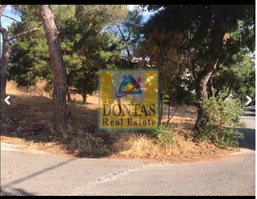 (For Sale) Land Plot || Athens North/Filothei - 1.040 Sq.m, 3.100.000€