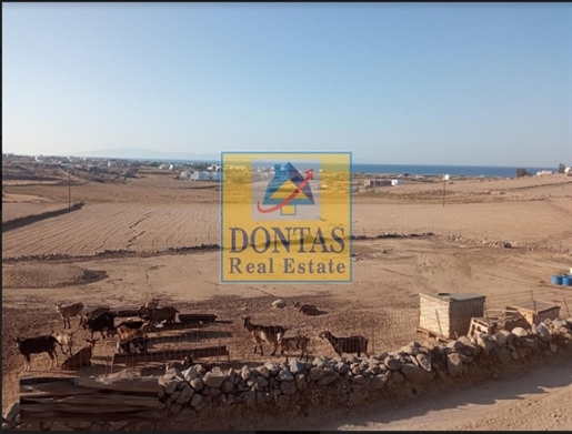 (Zu verkaufen) Nutzbares Grundstück || Kykladen/Naxos - 16.570 qm, 670.000€
