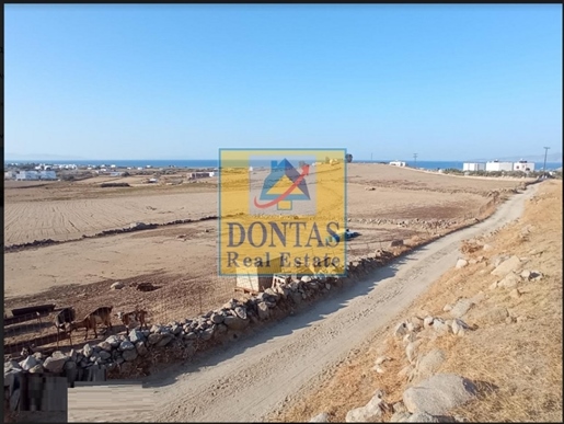 (Zu verkaufen) Nutzbares Grundstück || Kykladen/Naxos - 16.570 qm, 670.000€