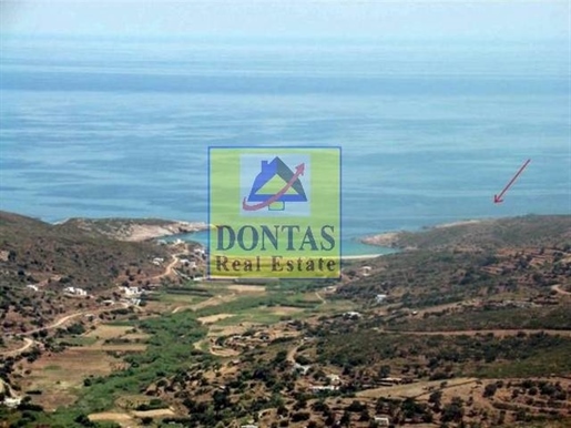 (À vendre) Terrain utilisable || Cyclades/Andros Chora - 128.000 m², 700.000€