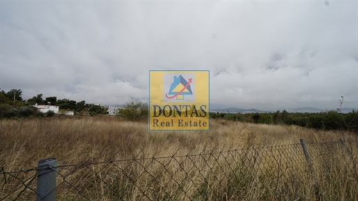 (For Sale) Land Plot || Athens North/Kifissia - 7.800 Sq.m, 4.100.000€