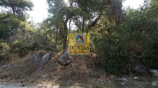 (Zu verkaufen) Nutzbares Grundstück || Athen Nord/Ekali - 815 m², 550.000€