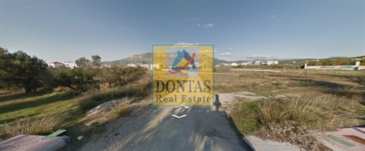 (Zu verkaufen) Nutzbares Grundstück || Präfektur Korinthia/Loutraki-Perachora - 2.445 m², 450.000€