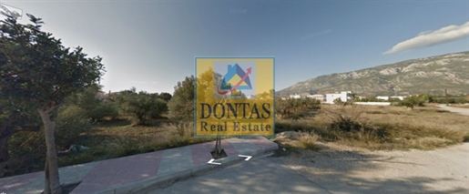 (Zu verkaufen) Nutzbares Grundstück || Präfektur Korinthia/Loutraki-Perachora - 2.445 m², 450.000€