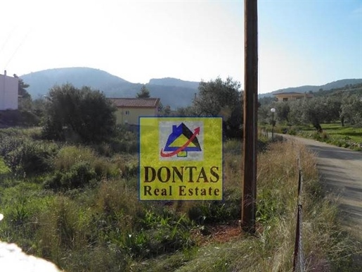 (For Sale) Land Plot || Korinthia/Solygeia - 1.000 Sq.m, 200.000€
