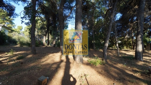 (Zu verkaufen) Nutzbares Grundstück || Athen Nord/Ekali - 1.700 qm, 1.900.000€