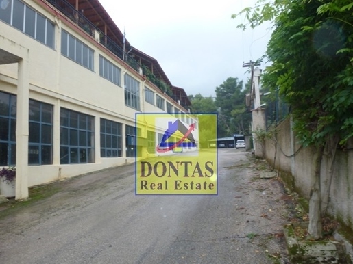 (For Sale) Commercial Commercial Property || East Attica/Malakasa - 3.000 Sq.m, 1.800.000€