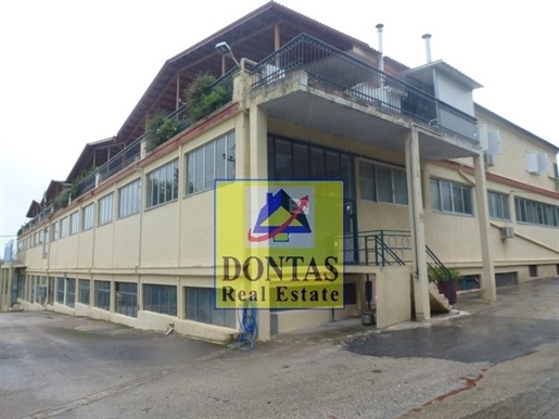 (For Sale) Commercial Commercial Property || East Attica/Malakasa - 3.000 Sq.m, 1.800.000€