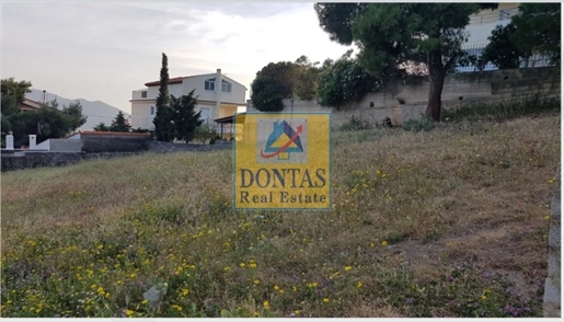 (For Sale) Land Plot || Athens North/Penteli - 2.125 Sq.m, 1.200.000€