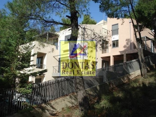 (Zu verkaufen) Wohnen Einfamilienhaus || Ost-Attika/Dionysos - 870 m², 6 Schlafzimmer, 1.500.000€