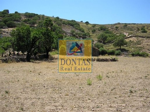 (For Sale) Land Plot || Lesvos/Eresos - 220.000 Sq.m, 2.800.000€