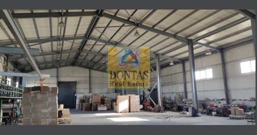 (For Sale) Commercial Industrial Area || Arkadia/Tripoli - 4.130 Sq.m, 2.600.000€