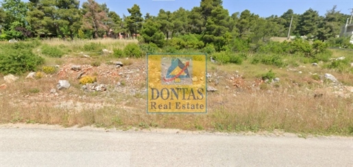 (For Sale) Land Plot || East Attica/Afidnes (Kiourka) - 2.020 Sq.m, 100.000€