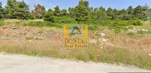 (For Sale) Land Plot || East Attica/Afidnes (Kiourka) - 2.020 Sq.m, 100.000€