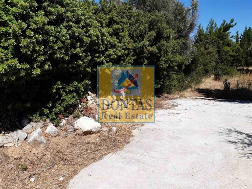 (Te koop) Bruikbare grond perceel || Prefectuur Chios - 6.000 m², 180.000€