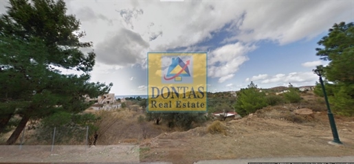 (For Sale) Land Plot || Chios/Amani - 2.210 Sq.m, 185.000€