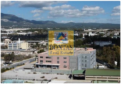 (Zu verkaufen) Gewerbeimmobilien Gebäude || Athen Nord/Kifissia - 11.500 qm, 12.500.000€