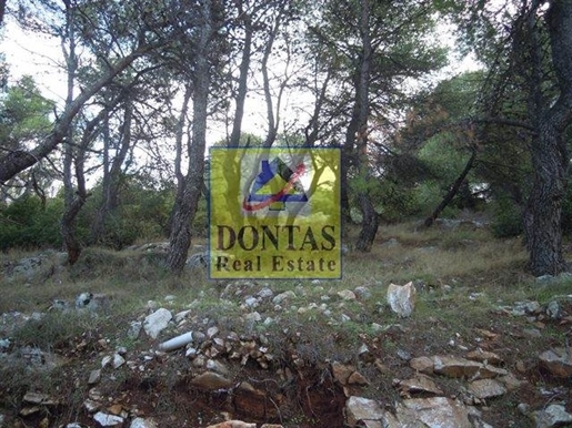 (Zu verkaufen) Nutzbares Grundstück || Ost-Attika/Dionysos - 800 qm, 350.000€